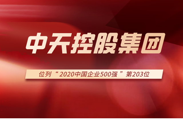 尊龙凯时控股集团列2020中国企业500强第203位！